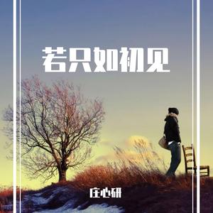 若只如初见