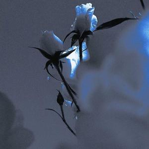 罗密欧与朱丽叶