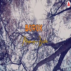 Borok