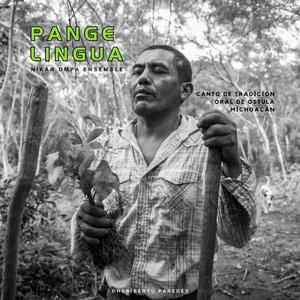 Pange Lingua (Traditional Polyphonic Music from Ostula, Michoacán, México) (feat. Emilio Gutiérrez Tlacaelel, Mauricio Montufar & Zoé Vauconsant-Massicotte)