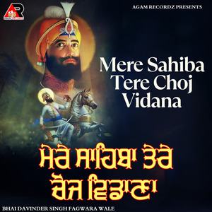 Mere Sahiba Tere Choj Vidana