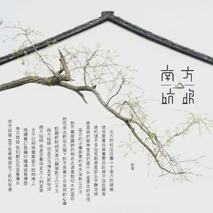 南方姑娘【吉他女版】