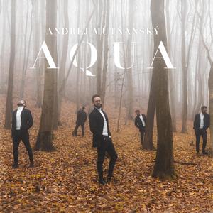 Roj Perzeidov (feat. Zuzana Mikulcová)