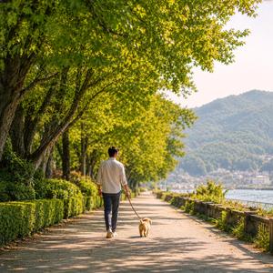 Sunny Paw Stroll