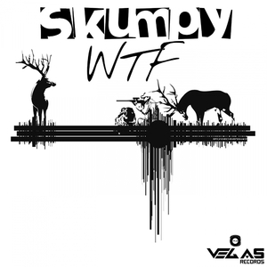WTF (Original Mix)
