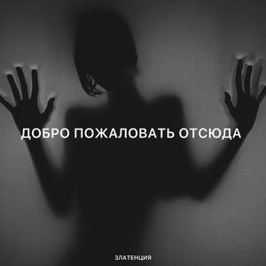 Добро пожаловать отсюда