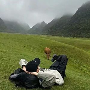 《梦境拆弹专家》