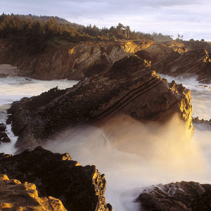 虽然我的朋友都很丑