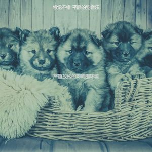 抚慰的可爱的狗回忆