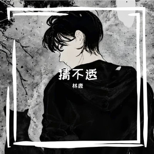 纸醉金迷的相遇