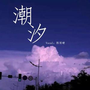 潮汐（DJ版）（翻自 傅梦彤）