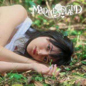Madnessland