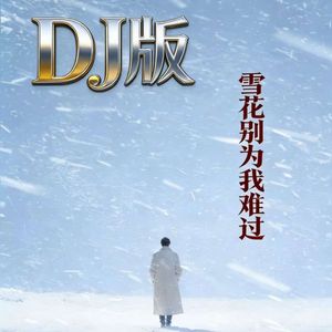 雪花别为我难过（DJ轻松无压力版）