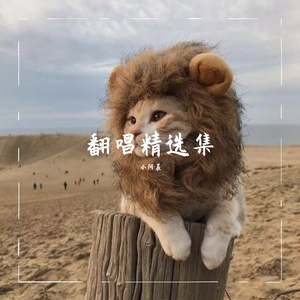 小阿晨-《男孩》live版（翻自 梁博）