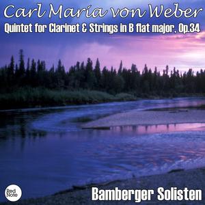 Quintet For Clarinet & Strings in B Flat Major, Op.34: IV. Rondo: Allegro giocoso