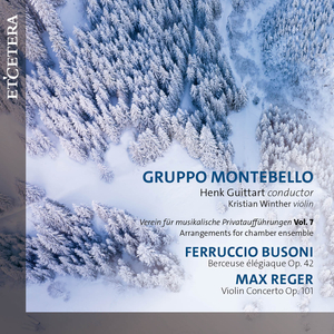 Violin Concerto in A Major, Op. 101: I. Allegro moderato