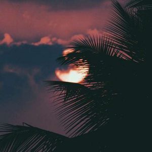 浊酒倾觞