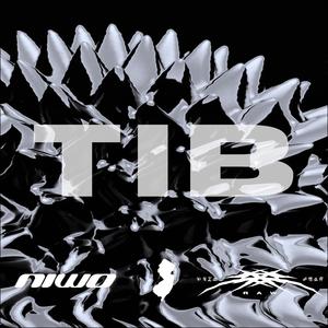 TIB