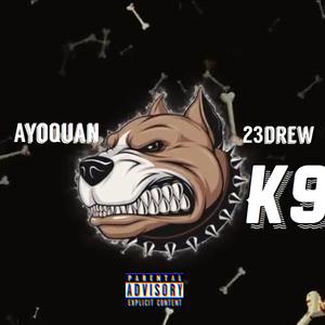 K9