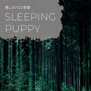 Mellow Moments in Time