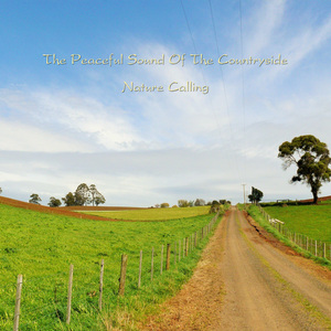 한적한 시골의 소리