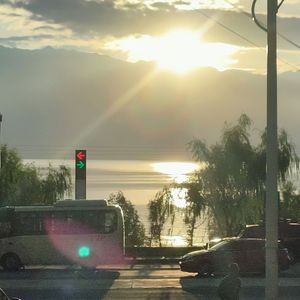 (っ╥╯﹏╰╥c)