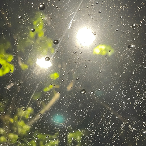 辞家千里又千里