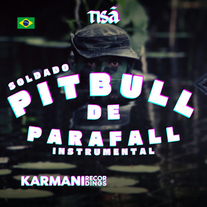 Pitbull de Parafall (Instrumental)
