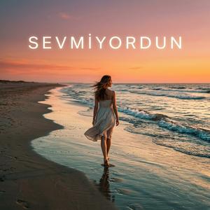 Sevmiyordun