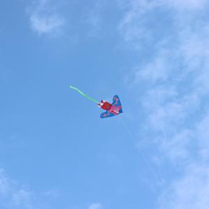 温暖的磁场— —致判官词和他的小磁场