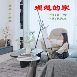 理想的家