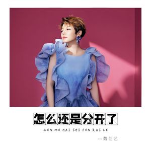 怎么还是分开了（烟嗓女版）伴奏