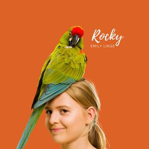 Rocky
