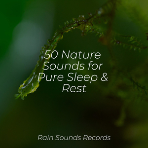 Whispers in the Grass