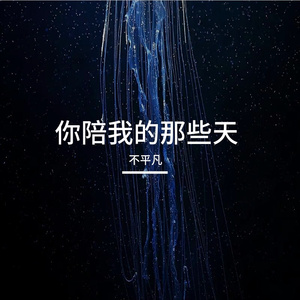 你陪我的那些天