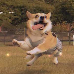 古筝弹奏《不染》