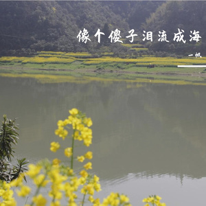 像个傻子泪流成海