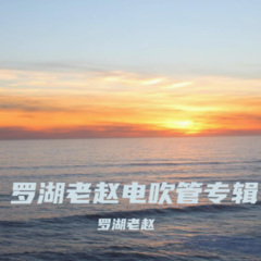 昭君梅花赋(修改稿))