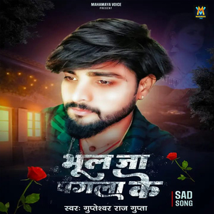 Bhul Ja Pagla Ke