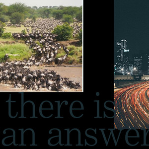 어깨를 긁적이며