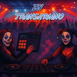 Zn Transariano
