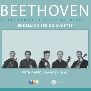 String Quintet No. 2 in C Major, Op. 29:II. Adagio molto espressivo