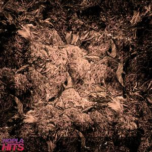 Trzydzieści (feat. Gavenda)