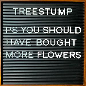 P.S. You Should Have Bought More Flowers