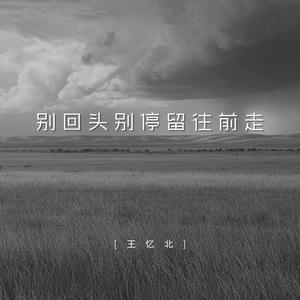 别回头别停留往前走