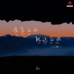 该怎么办就这么办(DJ版)