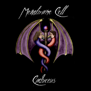 Architects of Reassimilation