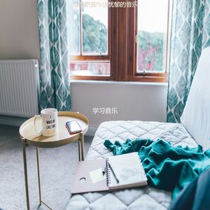 家庭作业沙发音乐
