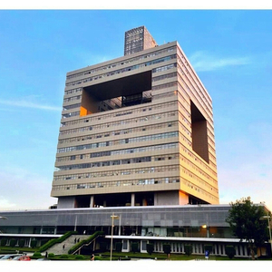 Lichee（Original Mix）