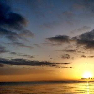 我在梦话里得到了梦寐以求的你